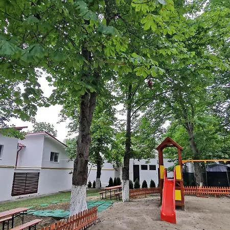 Liliacul